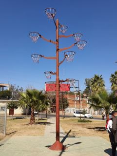 Federación Boliviana de Básquetbol